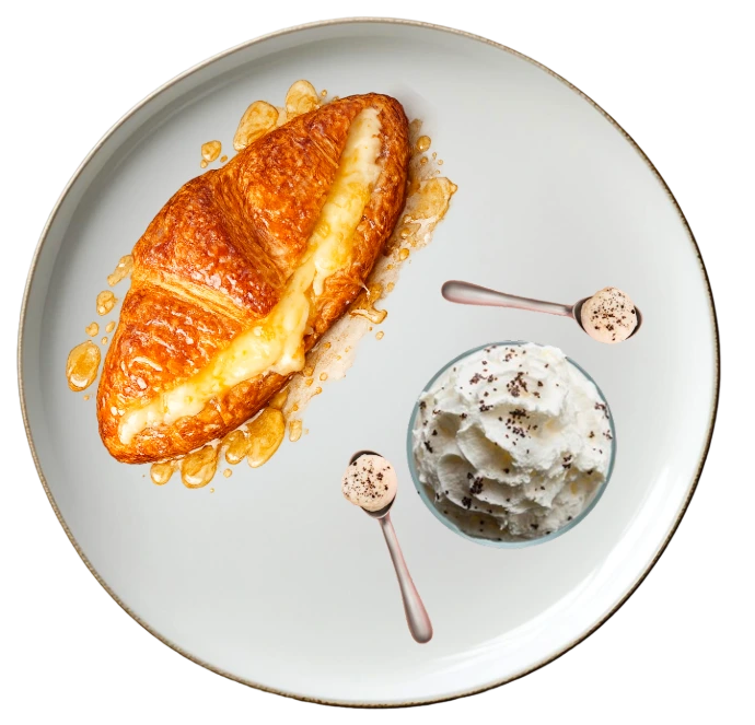 crokini yogurt crokini yogurt